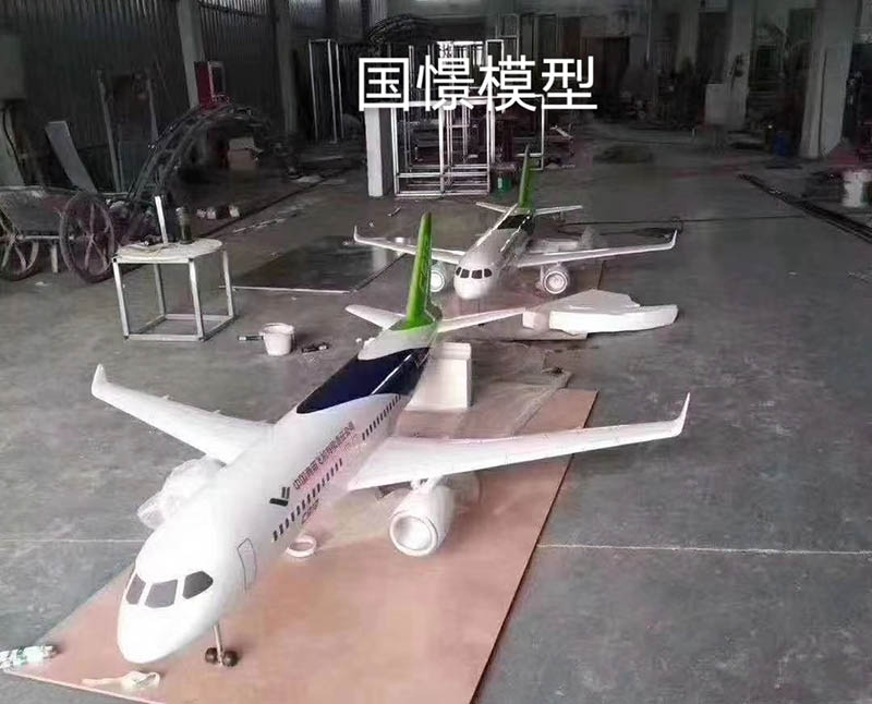 宁陕县飞机模型